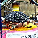 31 Days Project, Pasadena, Rose Parade