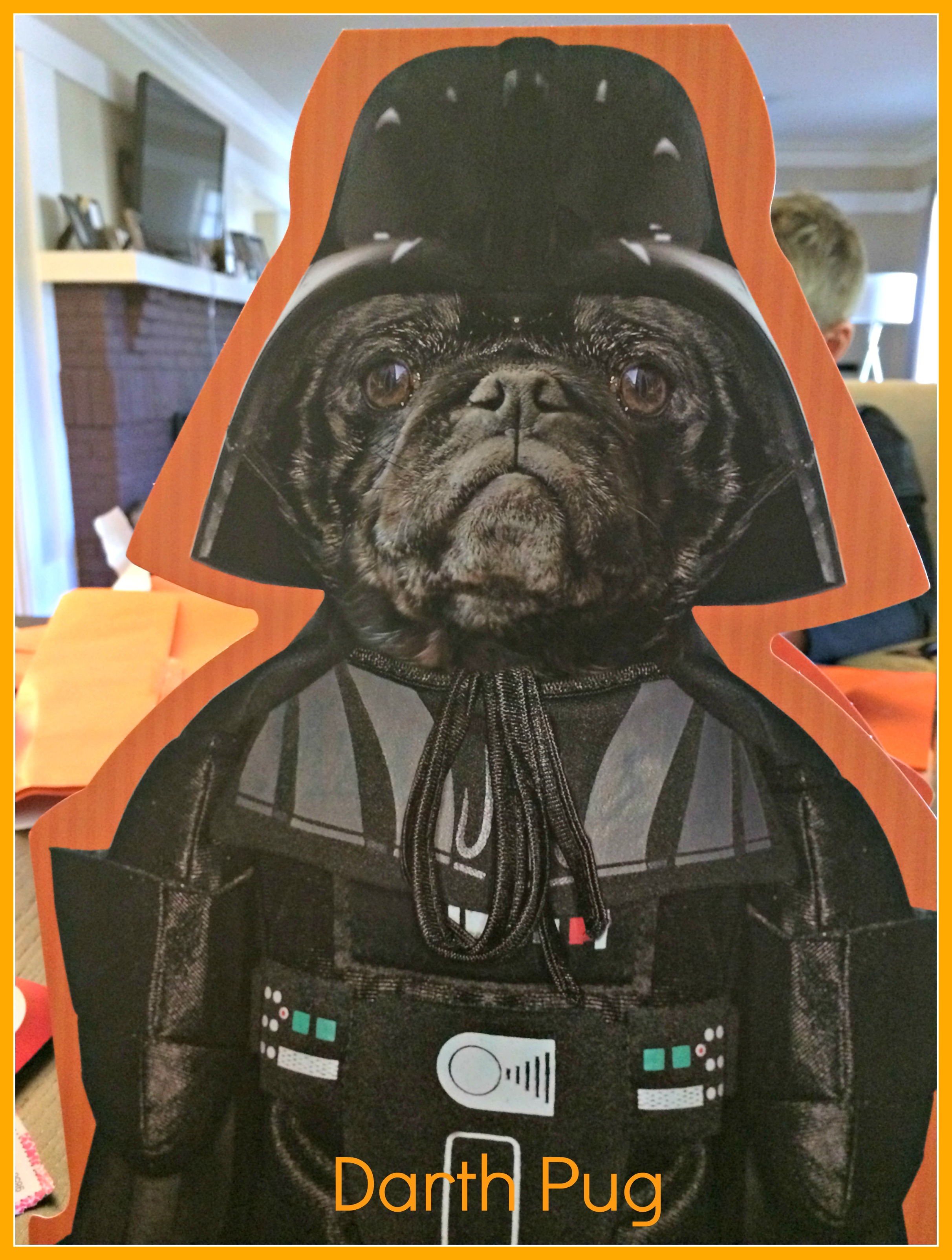 darth pug the reason for being constantly tired darth pug the reason for being constantly tired