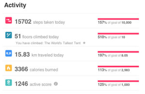 FitBit, Statistics